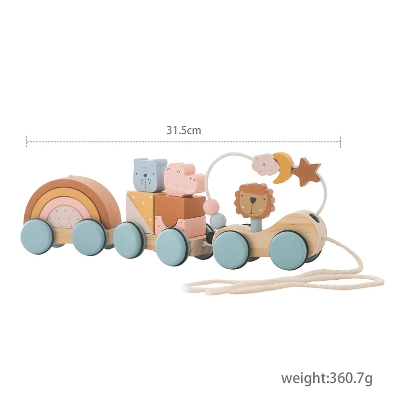 Montessori Wooden Aviation